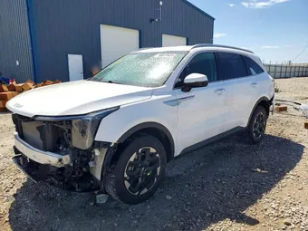 2024 Kia Sorento 5XYRLDJC8RG256442