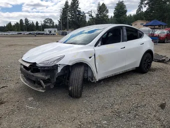 2021 Tesla Model Y 5YJYGDEEXMF102097