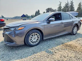 2019 Toyota Camry 4T1B31HK5KU516938