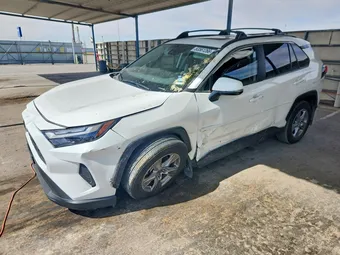 2025 Toyota RAV4 2T3W1RFV8SW398040